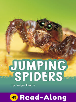 cover image of Jumping Spiders